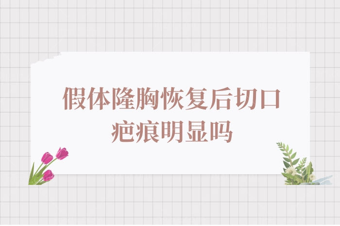 假体隆胸后切口疤痕明显吗