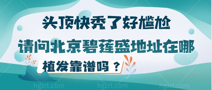 头顶快秃了好尴尬，请问北京碧莲盛地址在哪？植发靠谱吗？