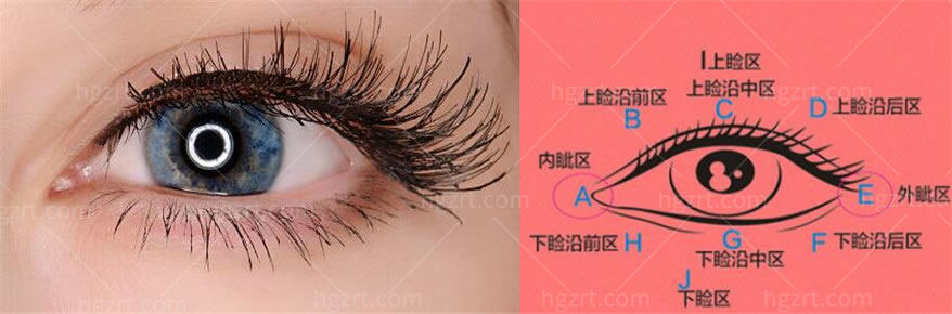 芭芘大眼综合项目包括