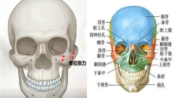 西安颧骨内推术怎么收费.jpg