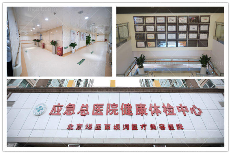 北京做鼻子好的的医生