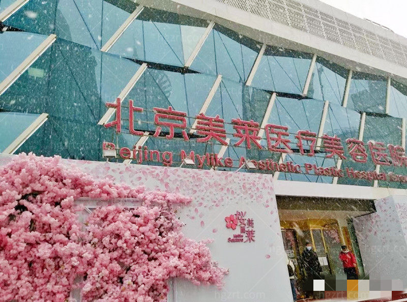 北京美莱环境图