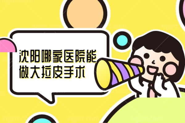 沈阳哪家医院能做大拉皮手术