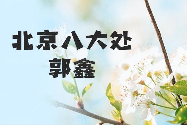 北京八大处郭鑫