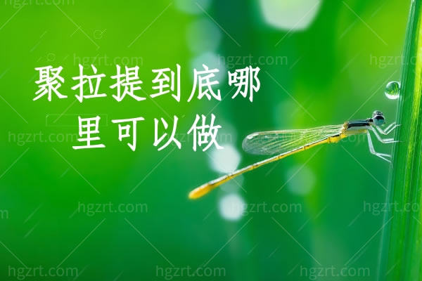 聚拉提到底哪里可以做