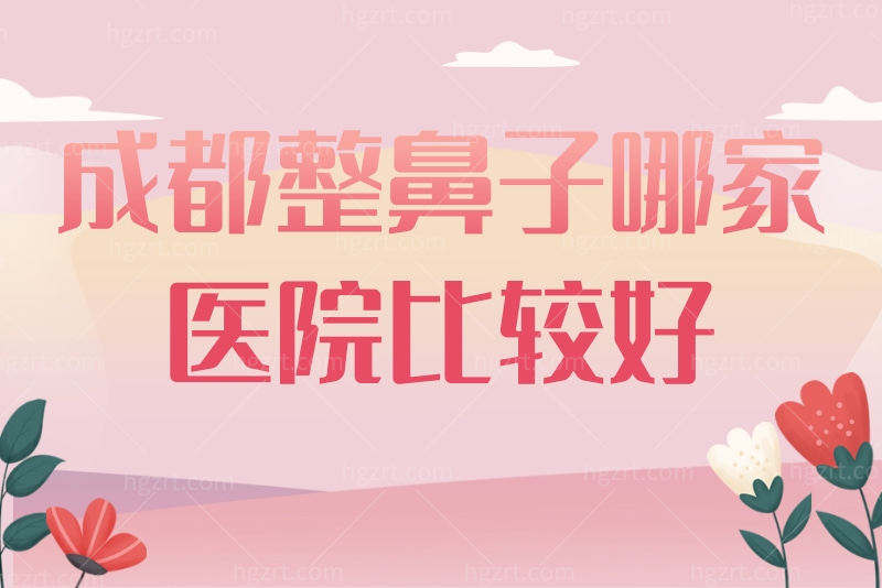 成都整鼻子哪家医院比较好