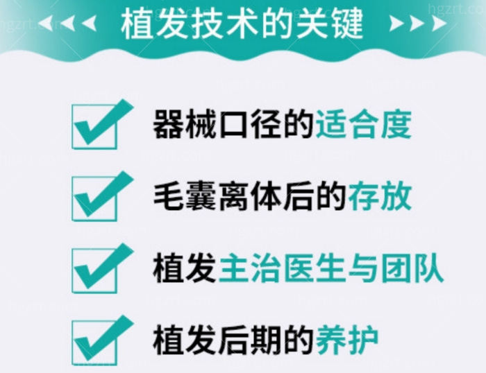 植发技术的关键看技术实力哦