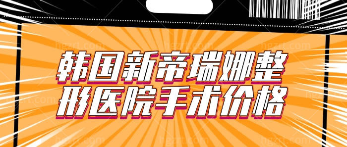 韩国新帝瑞娜整形医院手术价格