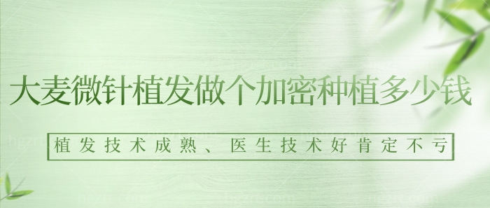 大麦微针植发做个加密种植多少钱？植发技术成熟、医生技术好肯定不亏！