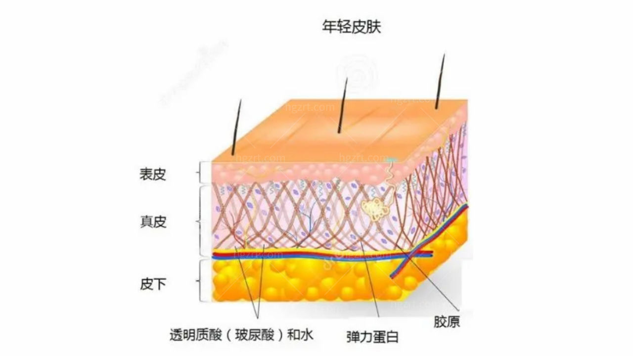 韩国美波文皮肤科医院