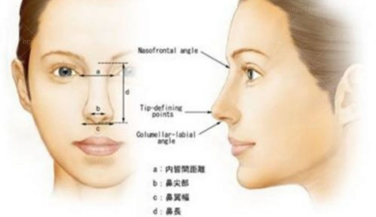 鼻整形对于面部整体协调的重要性.jpg