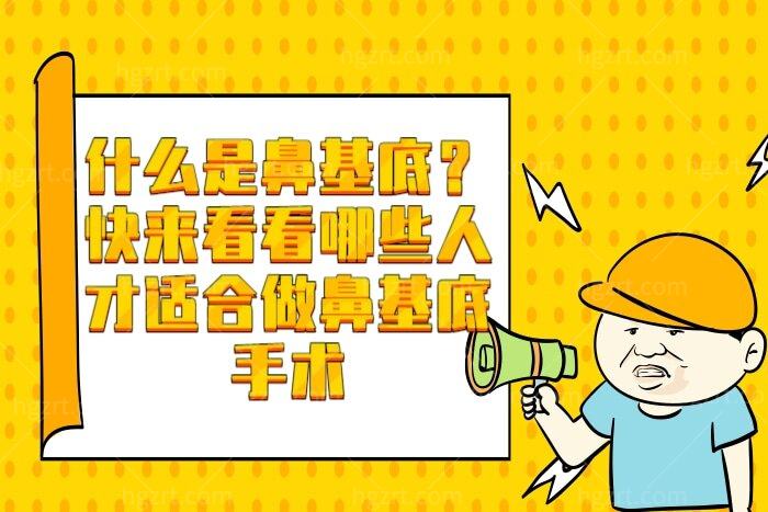 什么是鼻基底？