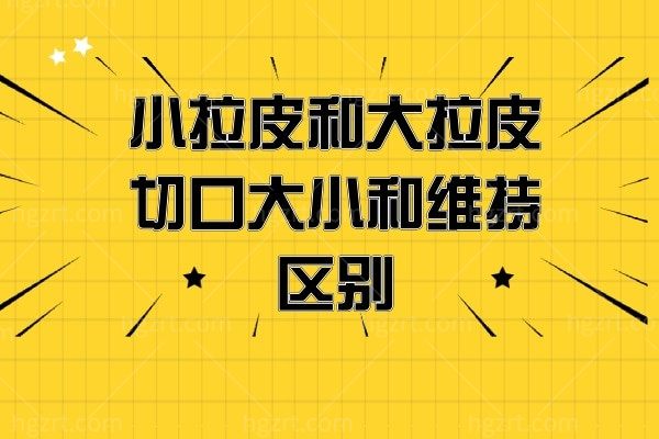小拉皮和大拉皮的切口大小