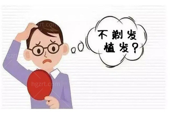 不剃发植发是什么