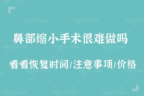 鼻部缩小手术很难做吗?其实不然!来看看恢复时间/注意事项/价格吧!