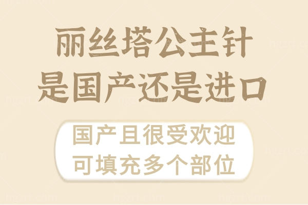 丽丝塔公主针是国产还是进口?国产且很受欢迎可填充多个部位