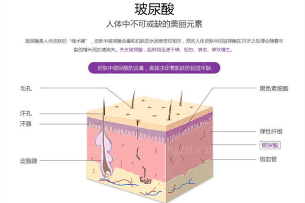 玻尿酸