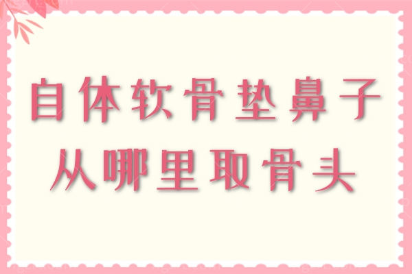 自体软骨垫鼻子从哪里取骨头