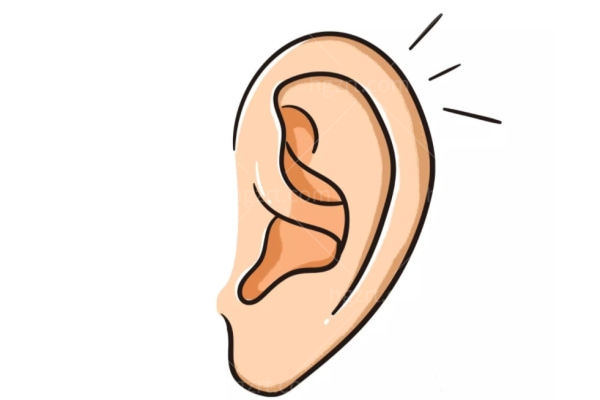 耳朵畸形你想知道什么 耳再造医生在线答疑