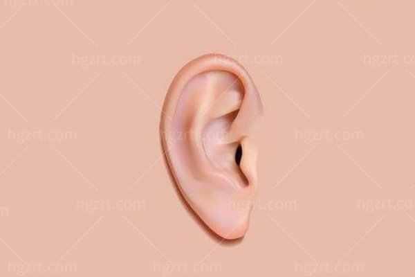 生物支架耳再造能维持多久