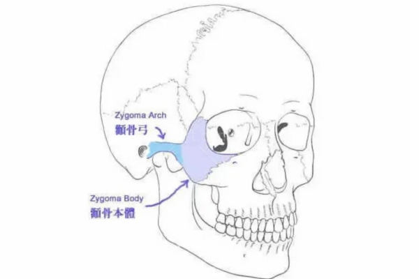 国内轮廓手术做的好的医生都有哪些?附上人气较高的医生及价目表