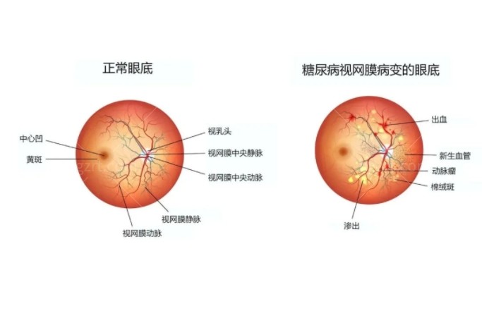 嘉兴爱尔眼科医院怎么样