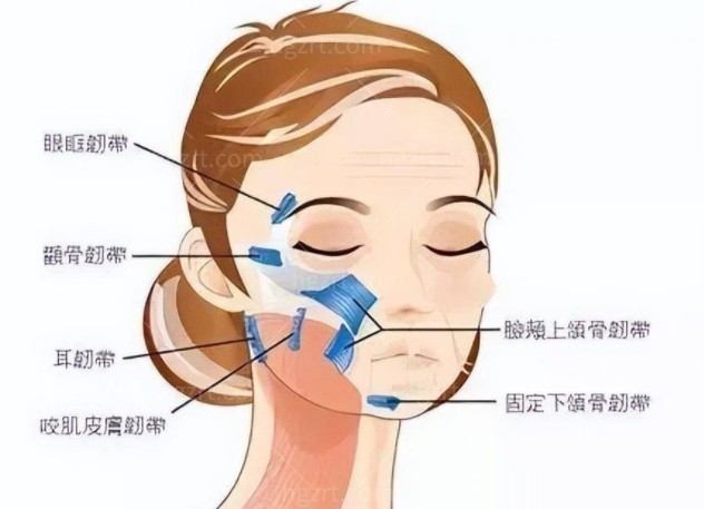 安洪宾做网兜提升怎么样