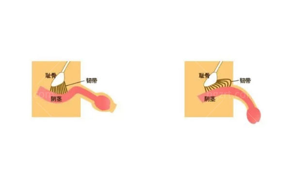 上海九龙医院男科做假体三件套技术可靠