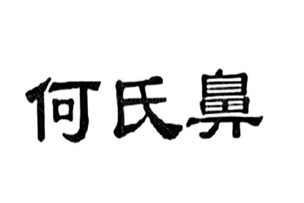 大连何氏鼻医疗美容门诊部