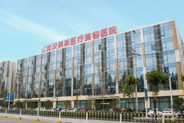 武汉美莱整形医院怎么样