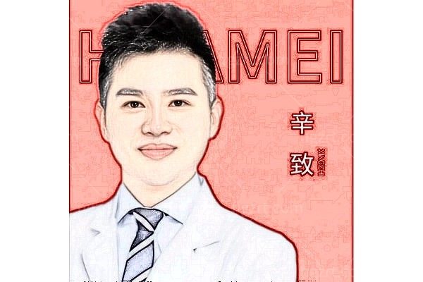 辛致