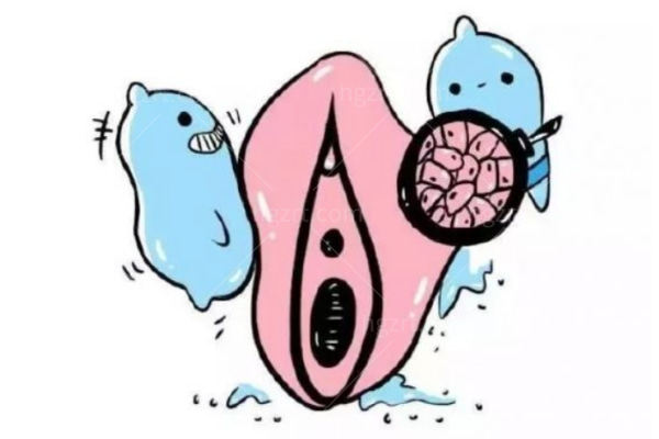 阴唇馒头型和柳叶型哪个好?怎么判断自己是否做缩阴手术？