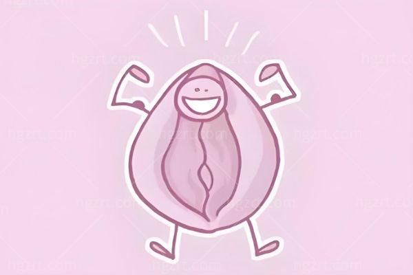 阴唇馒头型和柳叶型哪个好