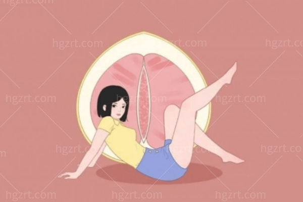 阴唇馒头型和柳叶型哪个好
