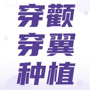 穿颧种植牙多少钱2025价格