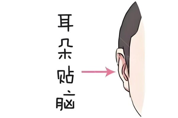 2025贴发耳矫正手术多少钱?选择术式不同价格也不同