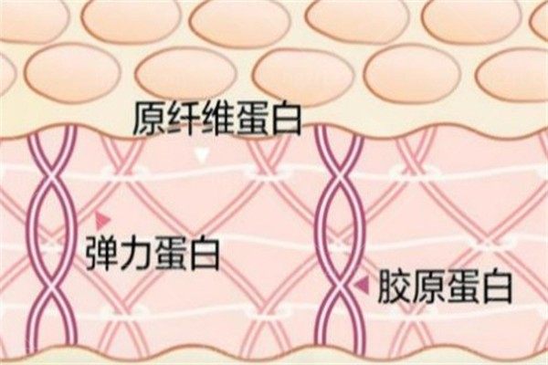 急急急，有姐妹知道肤莱美价格5000多正常吗？性价比高不