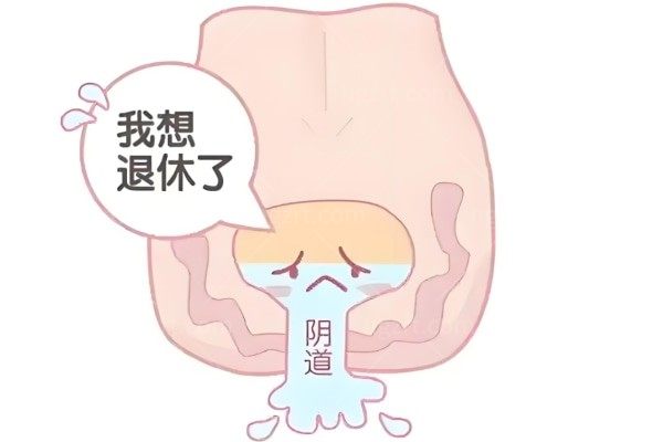 半岛热玛吉可以做私密紧缩:深度分析和盆底肌治疗仪/少女针的区别