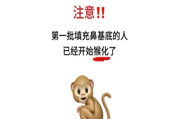 求助：鼻基底填充会猴化吗？