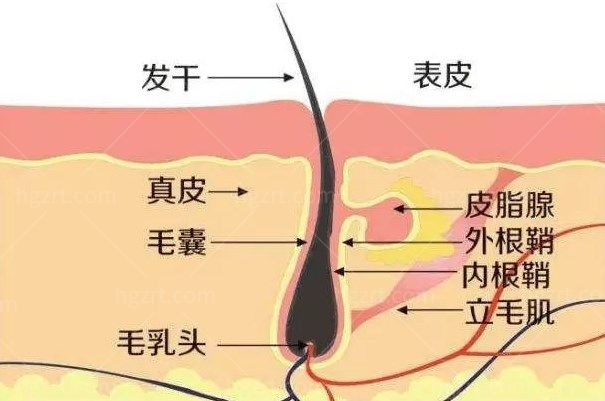 保定蓝山医疗美容医院怎么样