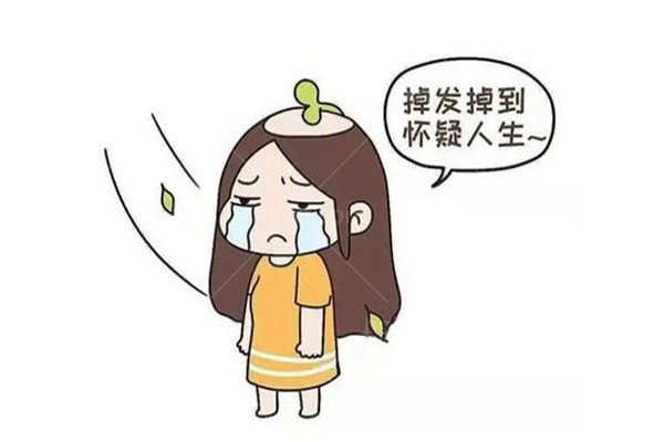 种头发价格费用多吗