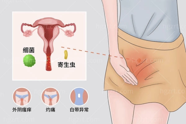 女性二十四种B型图真人图:女性二十四种b型型图哪个好?破除审美迷思