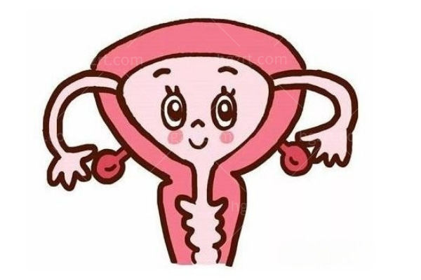 女性二十四种B型图真人图:女性二十四种b型型图哪个好?破除审美迷思