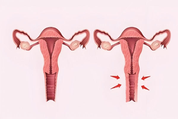 2025北京可以打紧缩针医院名单