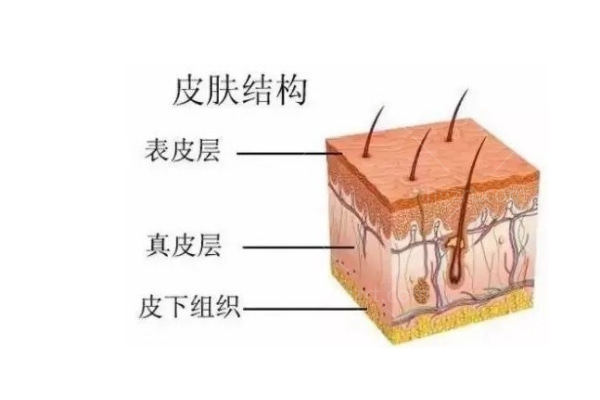 北京无痕筋膜提升医院哪家好