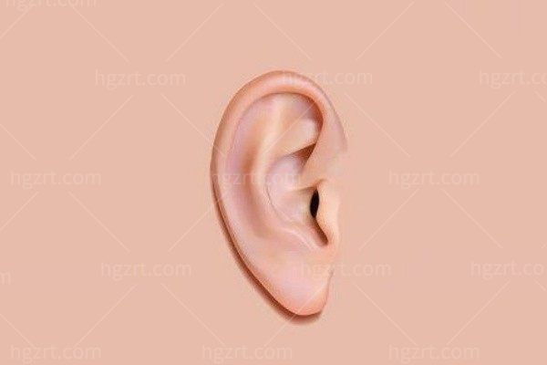 人工再造耳朵要多少钱？