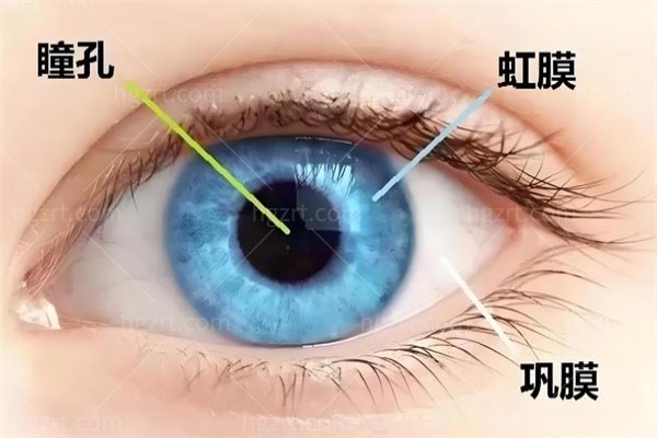国内哪个医院做后巩膜加固术好？汇总排名前7的医院医生收费不贵技术好