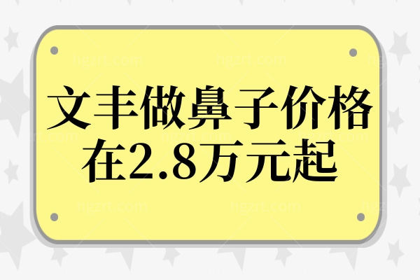 文丰做鼻子价格在2.8万元起,毫米级剥离减损伤+仿生支架技术,高满意度获认可