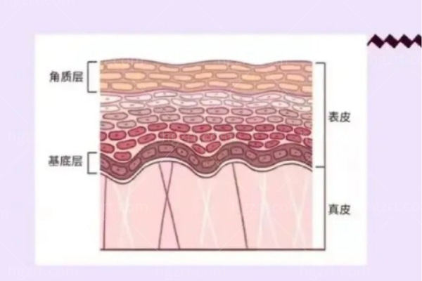 薇旖美水光注射价格一览表