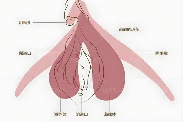 私密紧致